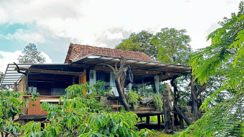 BAZANA Homestay and Garden (2)
